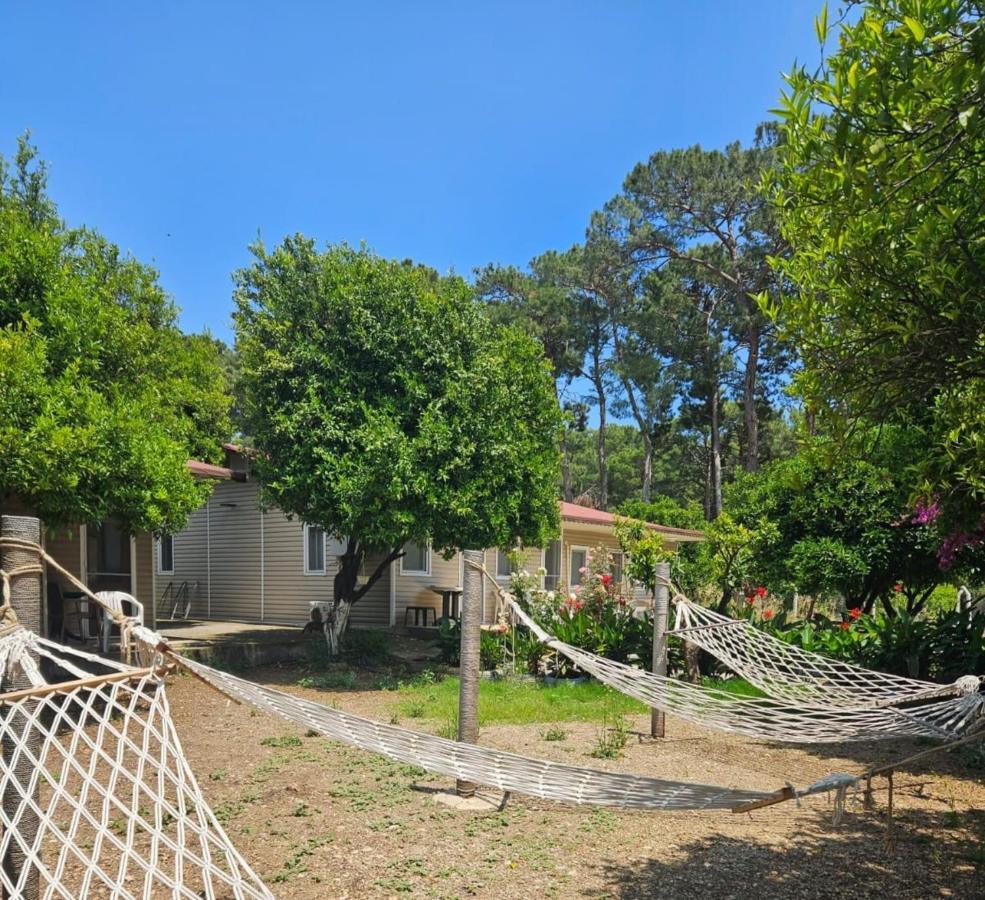 Orange Beach Camp Beldibi  Exterior photo